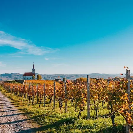 Glamping Kolpa Campo de lujo 2*