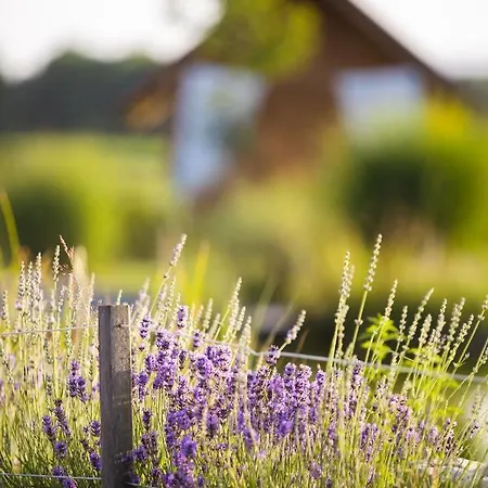 Campo de lujo Glamping Kolpa