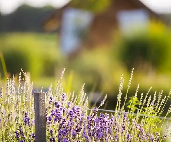 럭셔리텐트 Glamping Kolpa